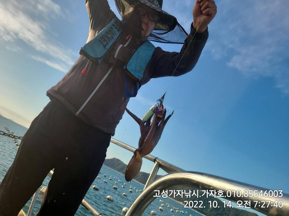 돌문어 실시간 쭈욱 올라옵니다 (조황조행기 - 바다선상조황)