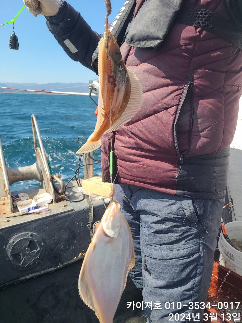 13일 오전오늘도 역시 타작 씨알 마릿수 대박 (조황조행기 - 바다선상조황)