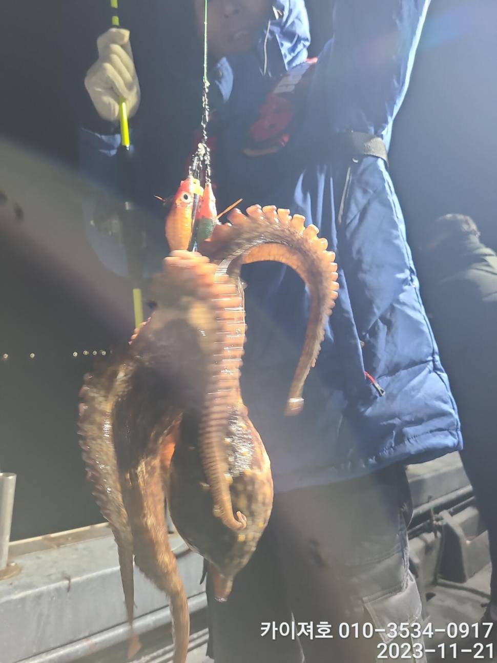 21일 카이져 돌문어 조황 씨알이 끝내줘요 (조황조행기 - 바다선상조황)