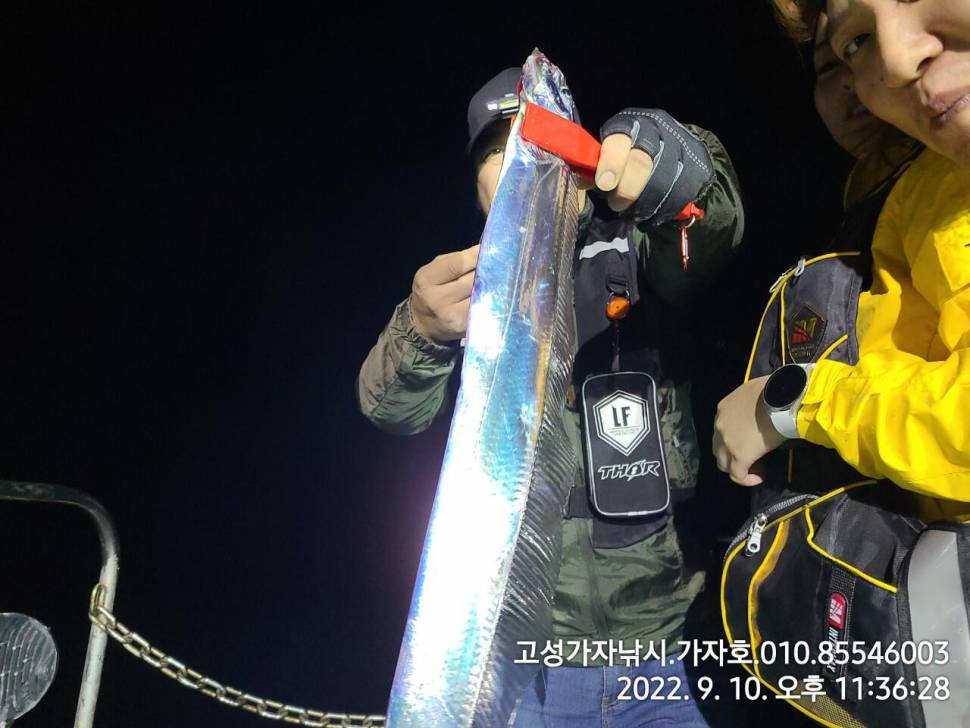 갈치 물색도 살아나고 조황도 살아나고 (조황조행기 - 바다선상조황)
