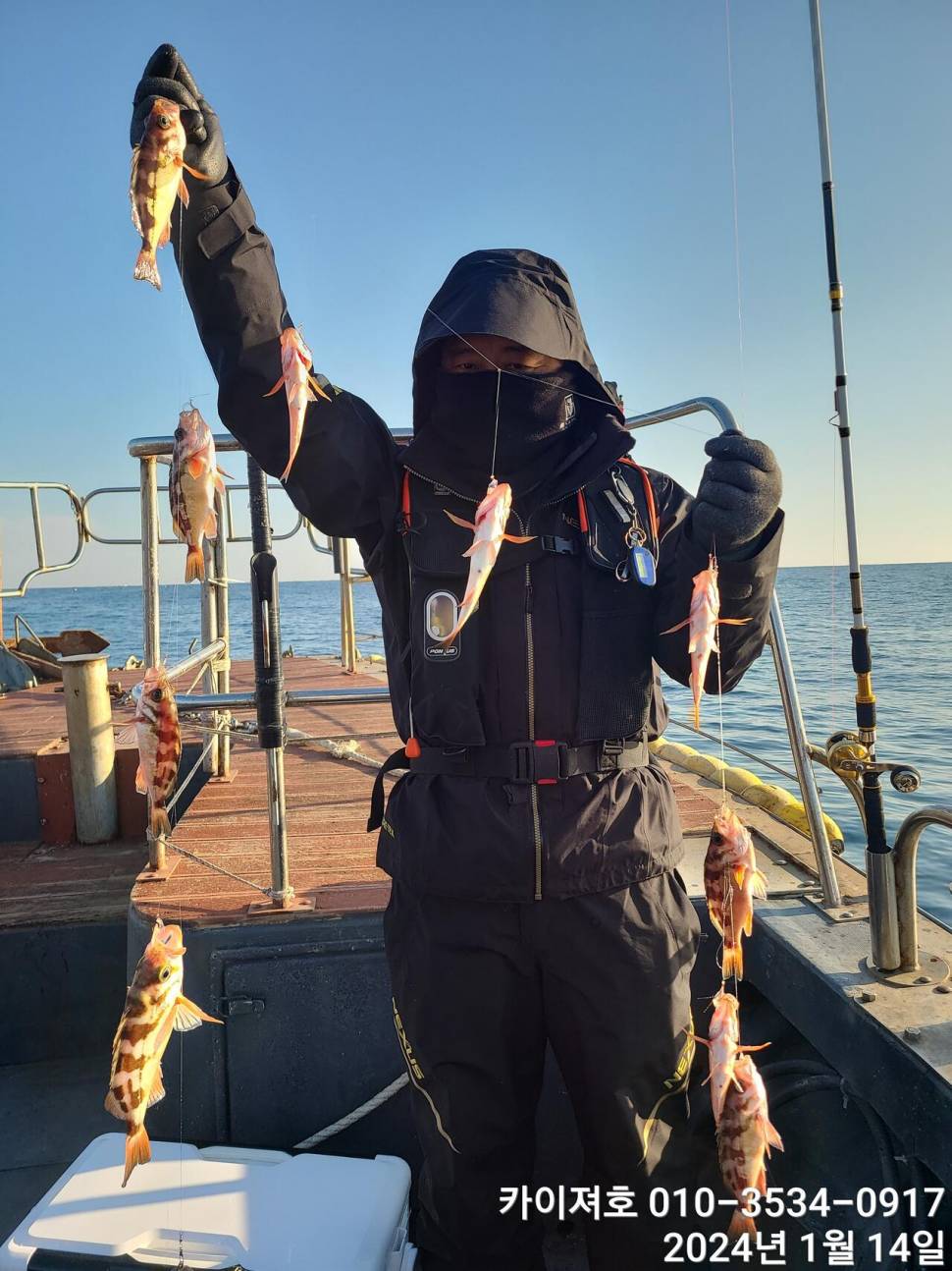 화요일 오전 볼락열기오후5시 오징어한치 여유자리운동장 (조황조행기 - 바다선상조황)