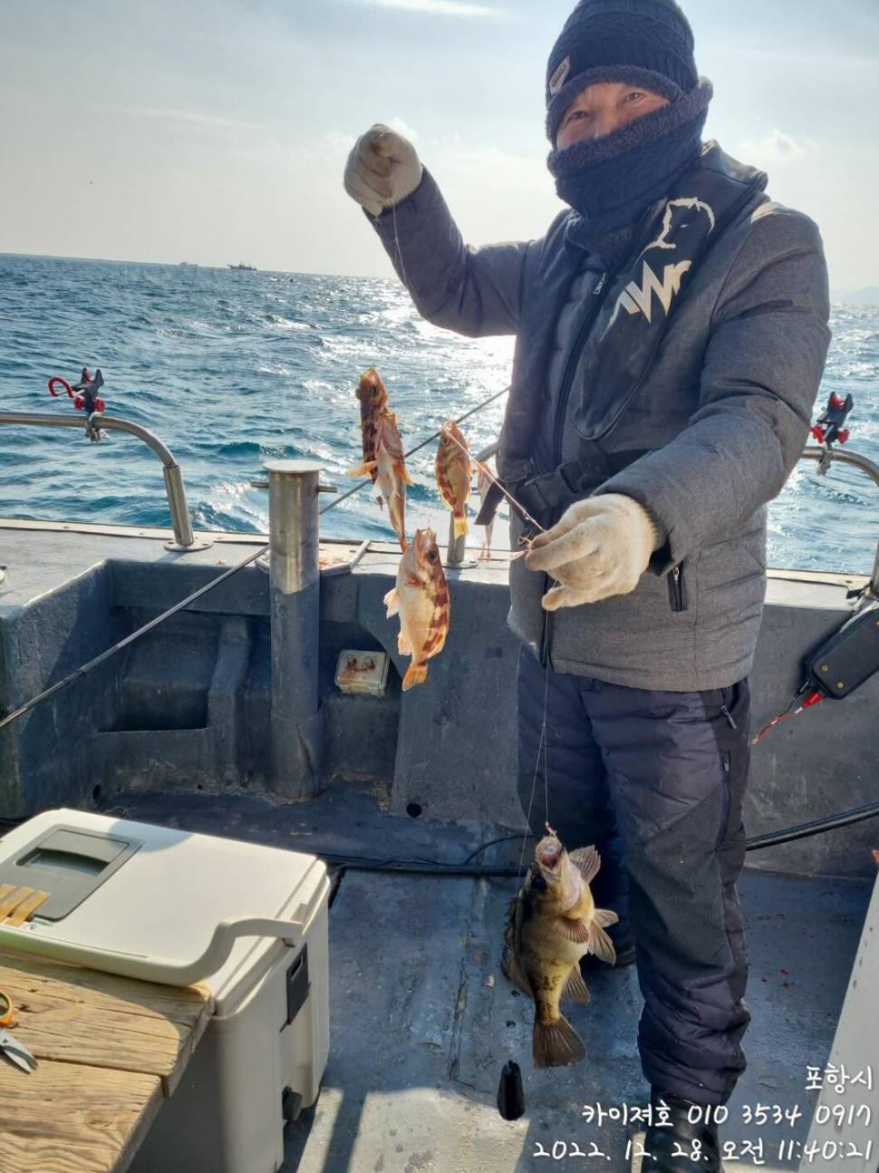 28일 오전왕열기왕볼락 쿨러 조황 마무리 (조황조행기 - 바다선상조황)