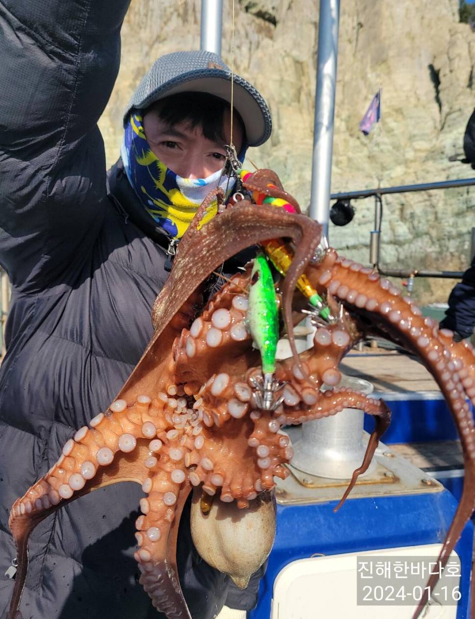 진해문어낚시 씨알좋고 손맛 끝내주는 돌문어 찐한 손맛보시며 즐기고왔습니다0 (조황조행기 - 바다선상조황)