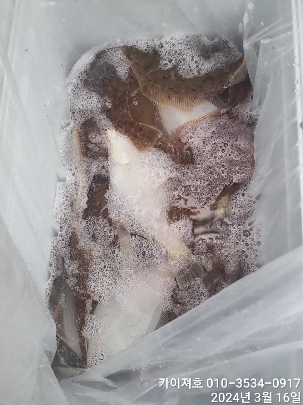 16일오전도 오후도 타작 (조황조행기 - 바다선상조황)