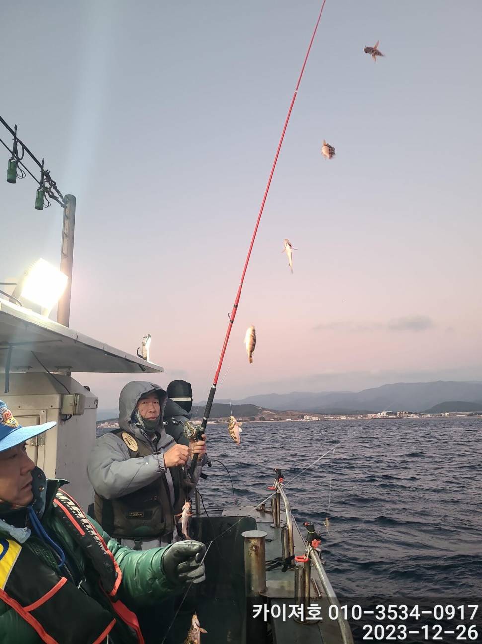 26일오전 볼락 열기 타작 입니다 (조황조행기 - 바다선상조황)