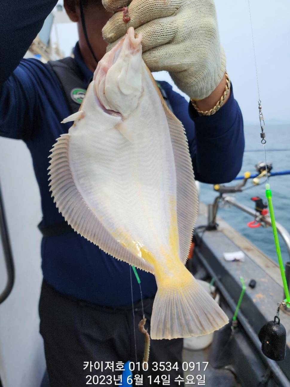주말 도다리참가자미 폭파 하러 오이소ㅎ (조황조행기 - 바다선상조황)