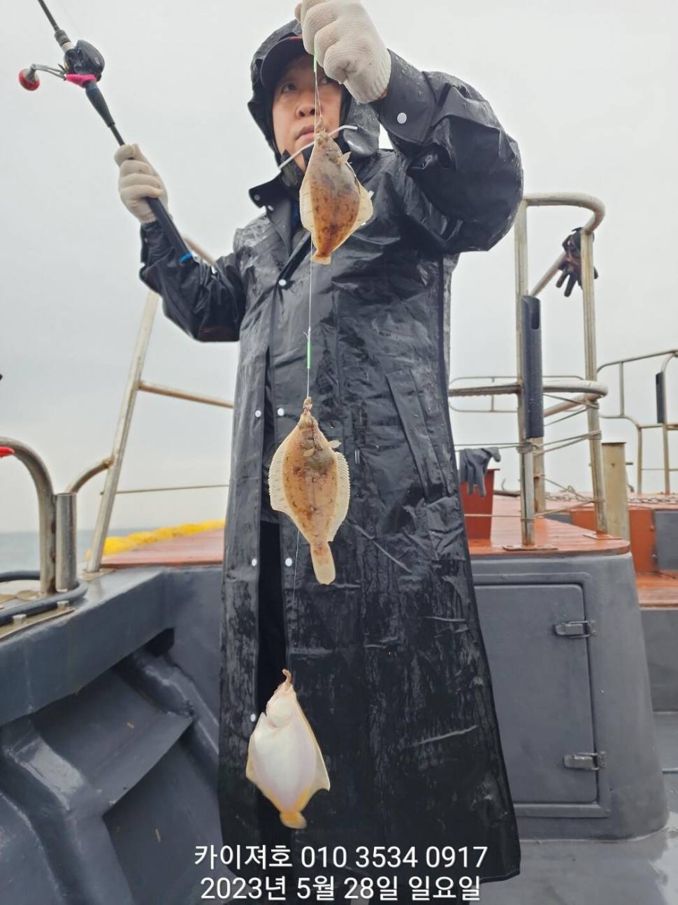 왕도다리참가자미 담으러 수요일 (조황조행기 - 바다선상조황)