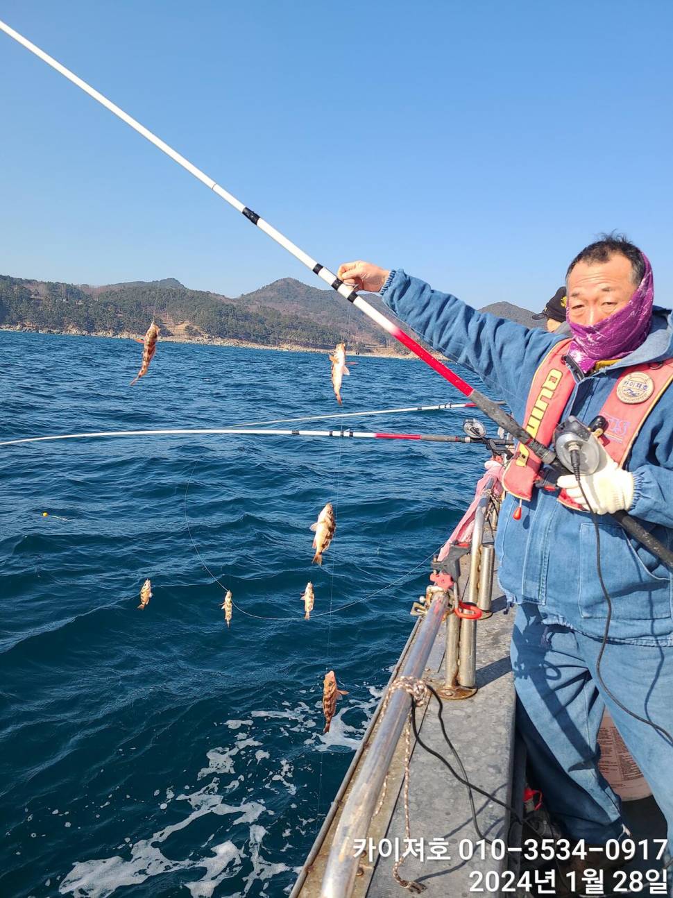 28일 오전 쿨러 만삭 볼락열기 폭팔 (조황조행기 - 바다선상조황)