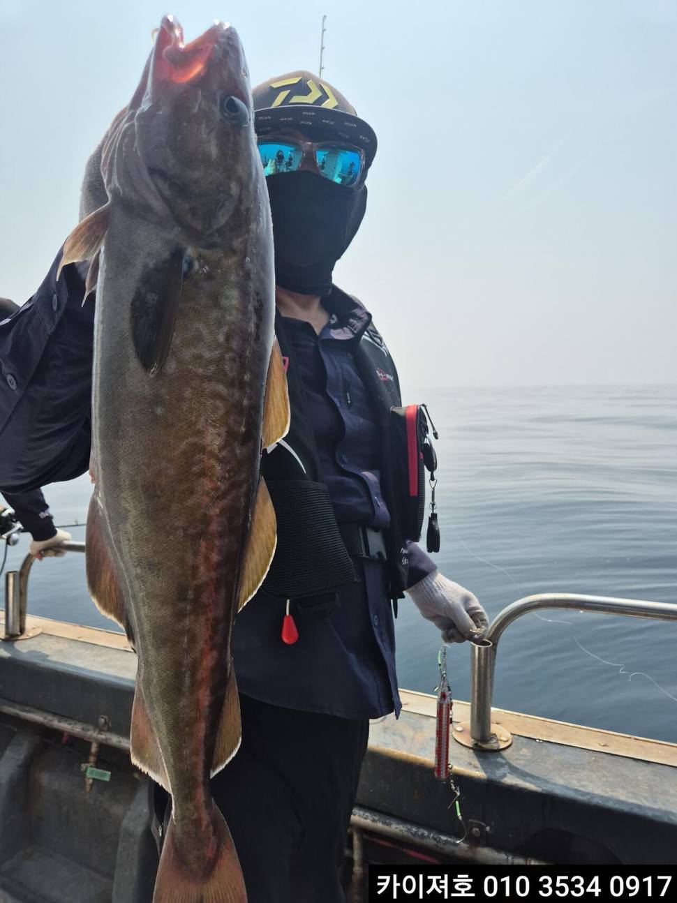 7일왕대구 쿨러 조황 (조황조행기 - 바다선상조황)