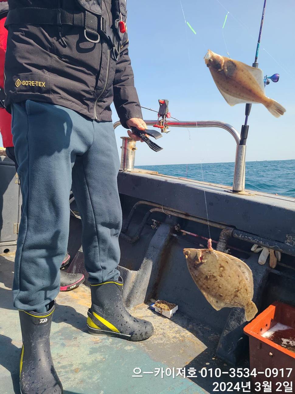 2일 오후 도다리참가자미 대박 입니다 (조황조행기 - 바다선상조황)