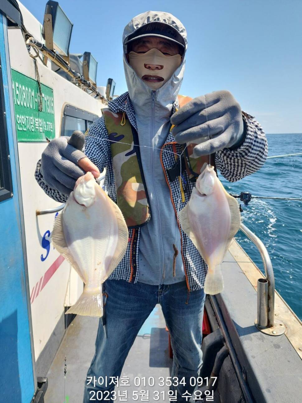 31일 오전 역대급 으로 퍼왔어요 씨알도 굿굿굿 (조황조행기 - 바다선상조황)