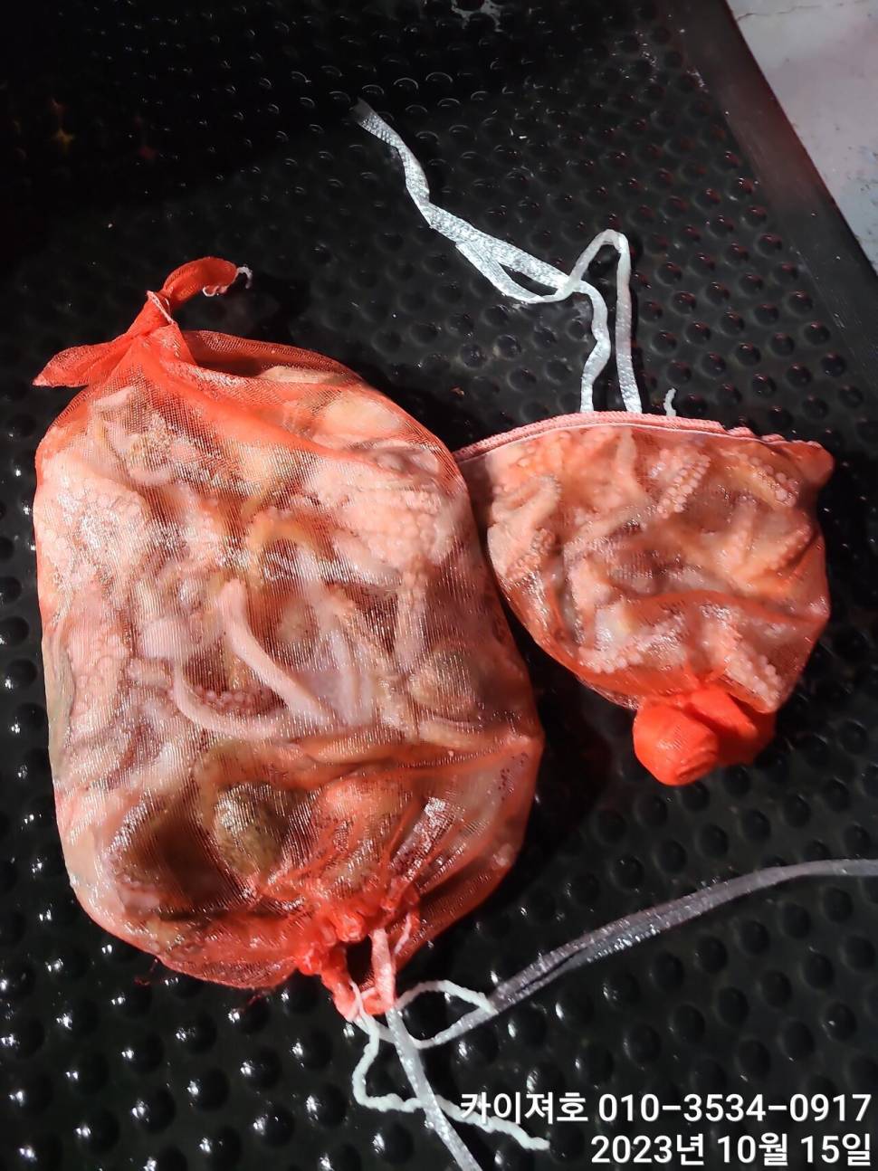 14일통틀 후기오 전후야대삼치방어돌문어 (조황조행기 - 바다선상조황)