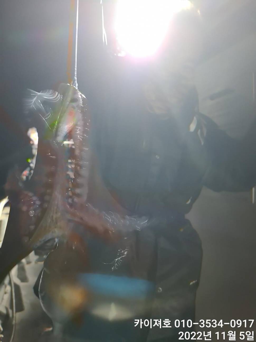 막잡아 삼치 쫀득 뜯어내는 문어 (조황조행기 - 바다선상조황)