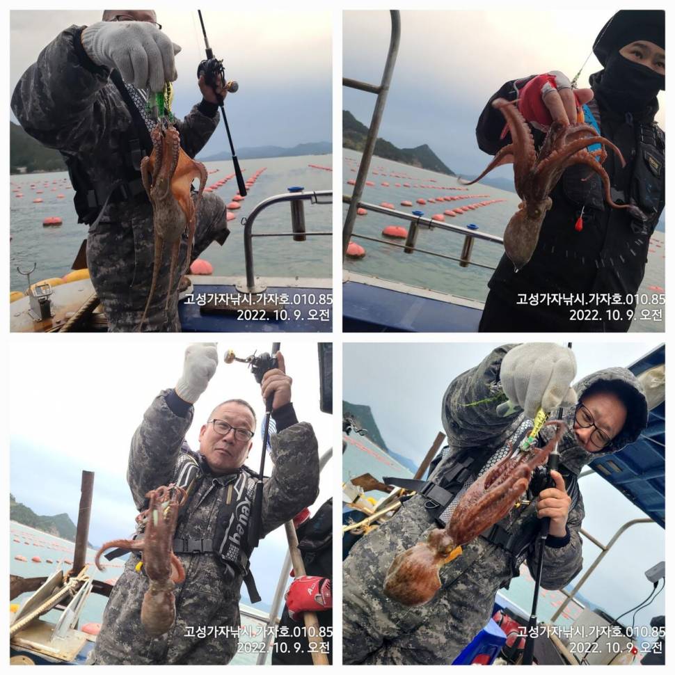 돌문어 싸이즈로 올라옵니다 (조황조행기 - 바다선상조황)
