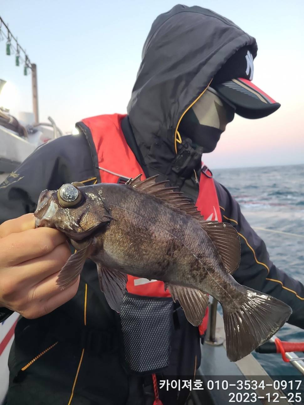 25일오전 볼락열기 우당탕탕 (조황조행기 - 바다선상조황)