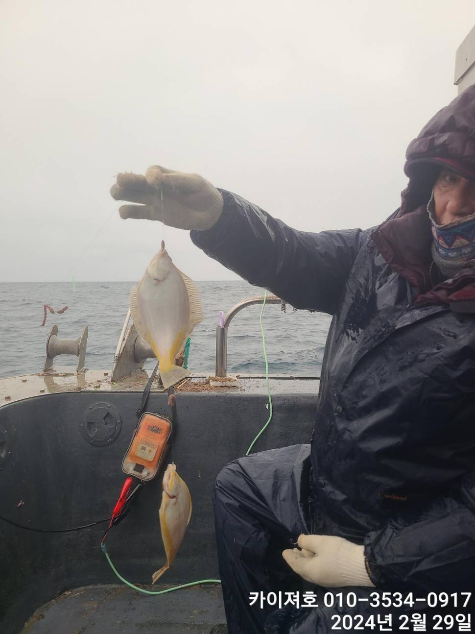 29일 왕도다리참가자미문어는 덤 입니다 (조황조행기 - 바다선상조황)