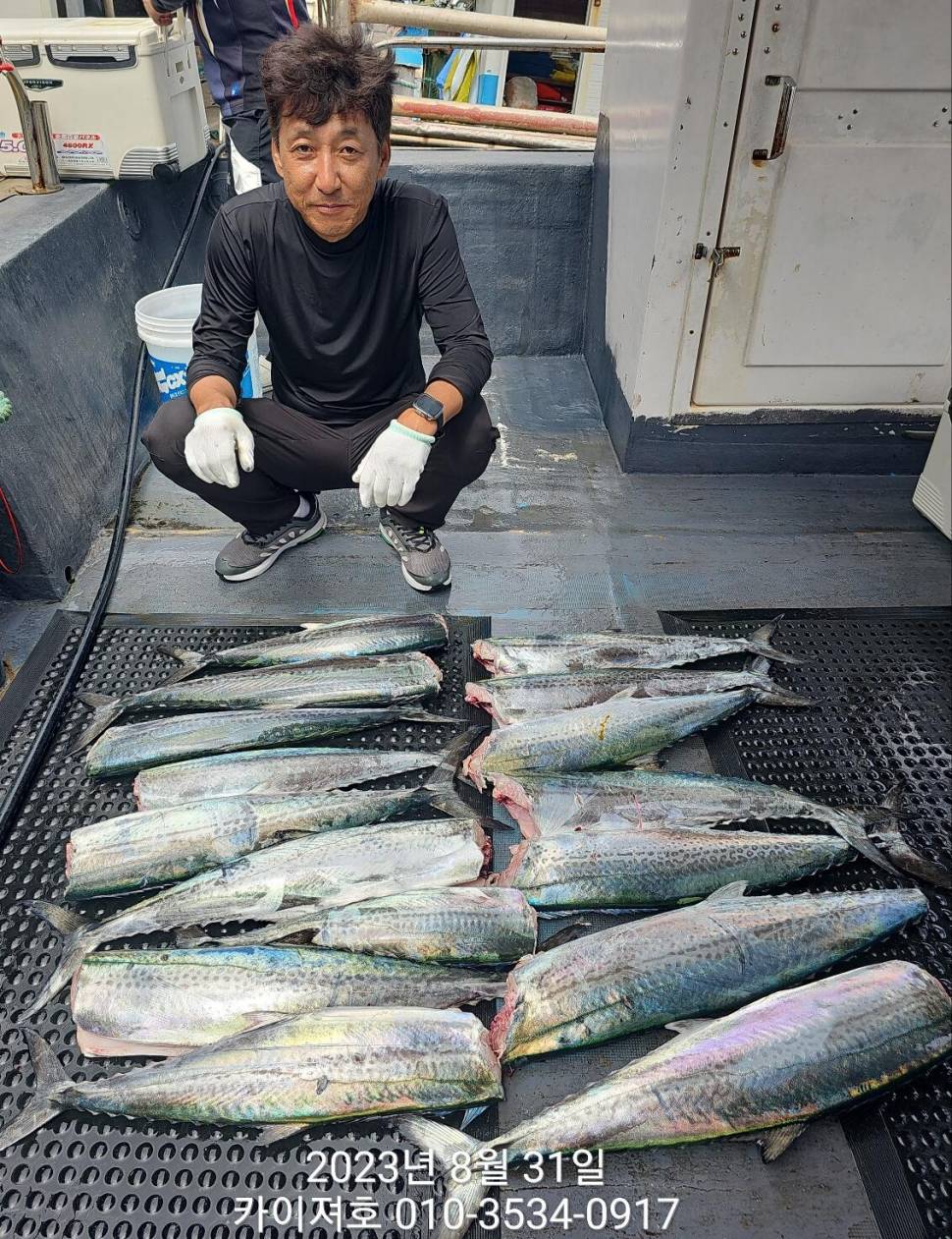 31일마무리 전원 힛트 끝판왕굿굿굿 (조황조행기 - 바다선상조황)