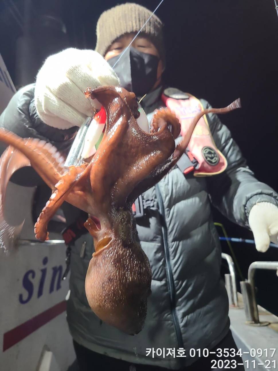 21일 카이져 돌문어 조황 씨알이 끝내줘요 (조황조행기 - 바다선상조황)