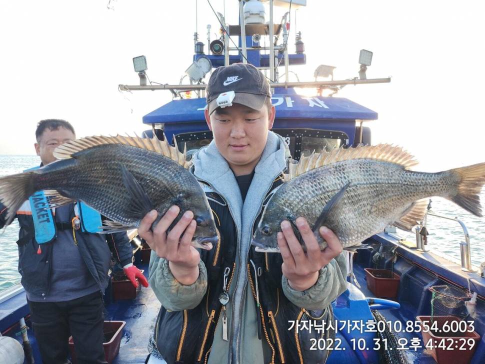감성돔참돔 선상 갯바위 조황 (조황조행기 - 바다선상조황)