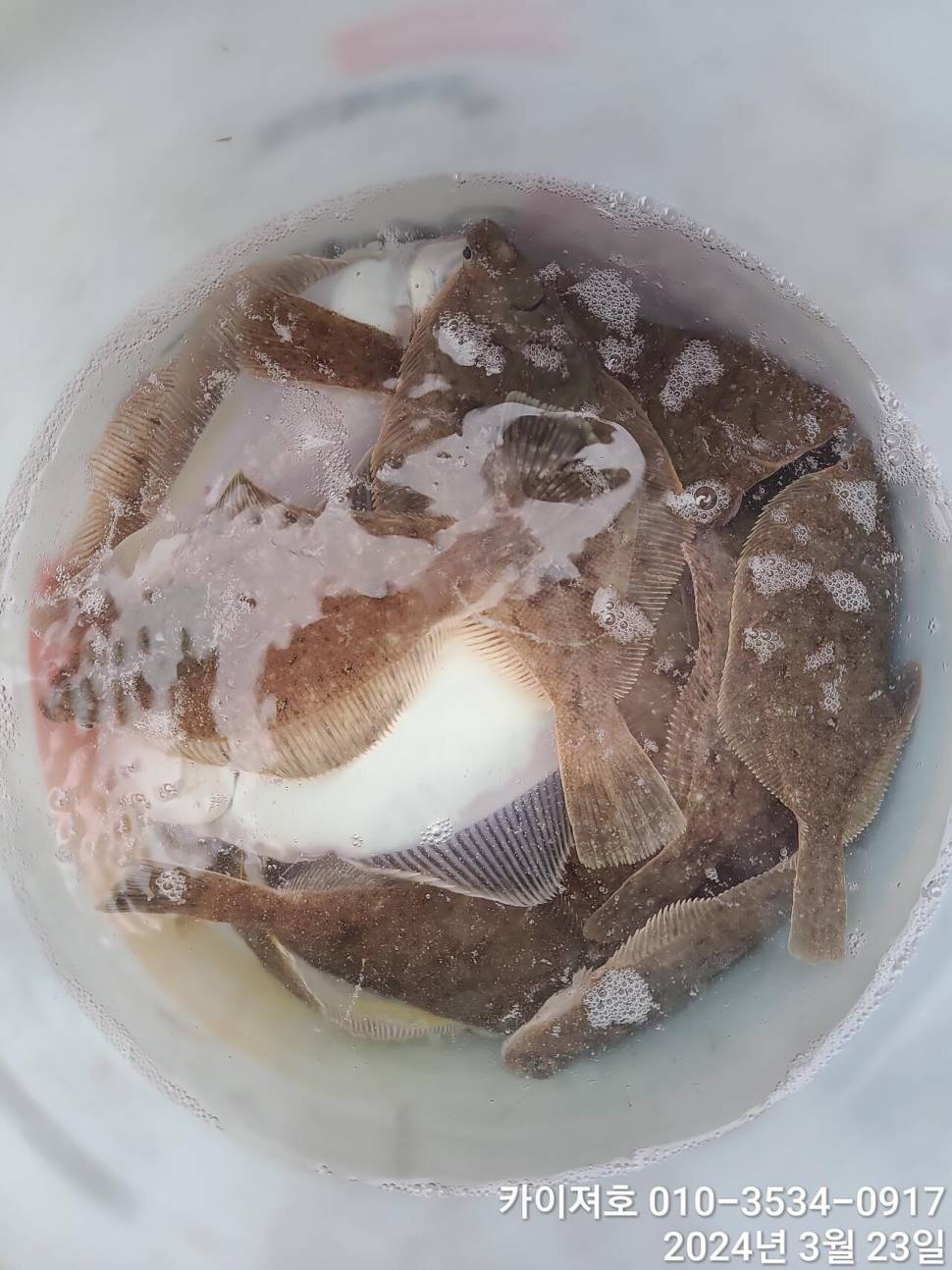 23일오후 대폭발 타작 (조황조행기 - 바다선상조황)