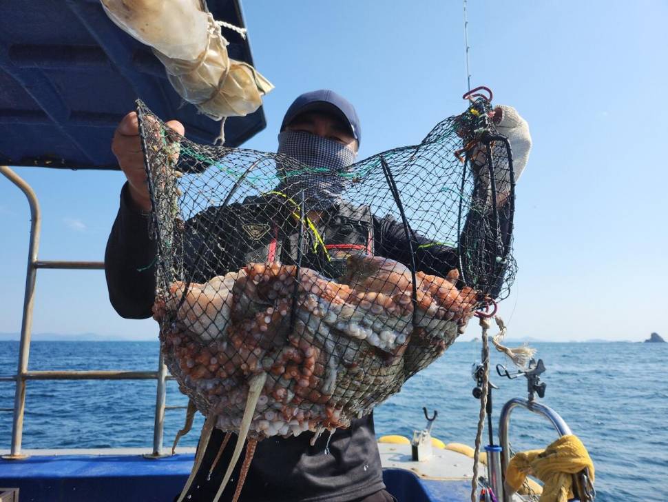 4분 초대박 돌문어 조황 (조황조행기 - 바다선상조황)