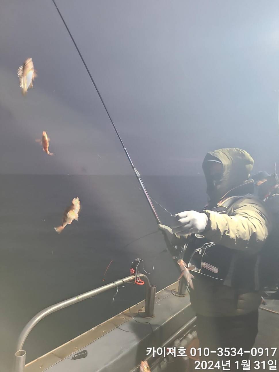 오늘도 볼락열기 만만세 타작 (조황조행기 - 바다선상조황)
