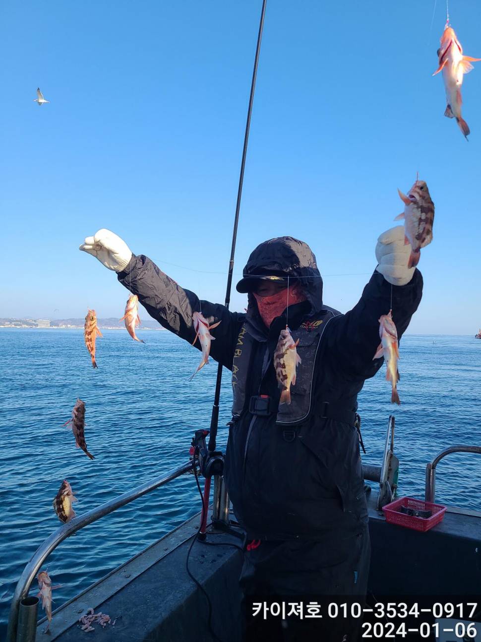 6일오전 볼락열기 줄줄이 두둑합니다 (조황조행기 - 바다선상조황)
