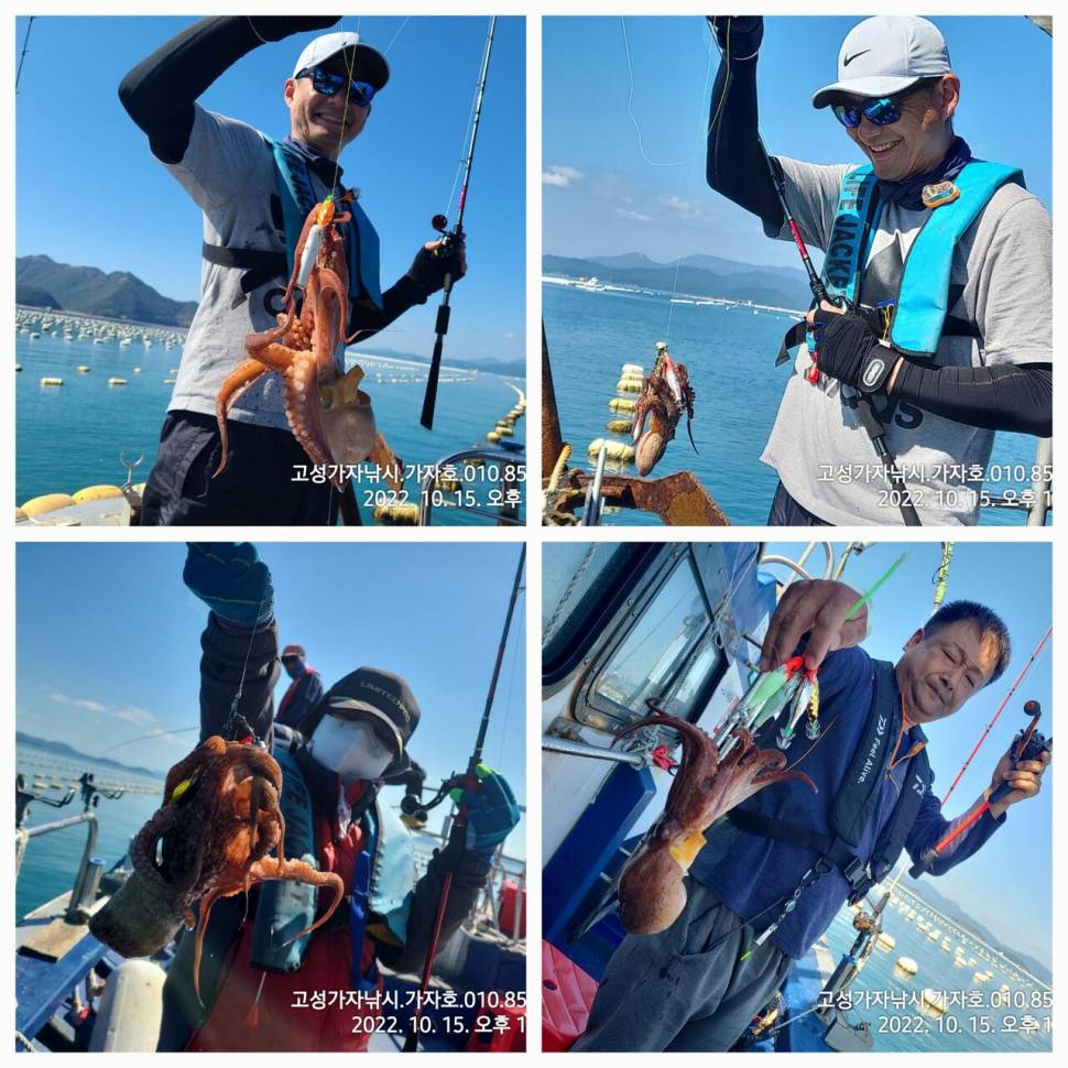 돌문어 2kg오버까지 조황 (조황조행기 - 바다선상조황)