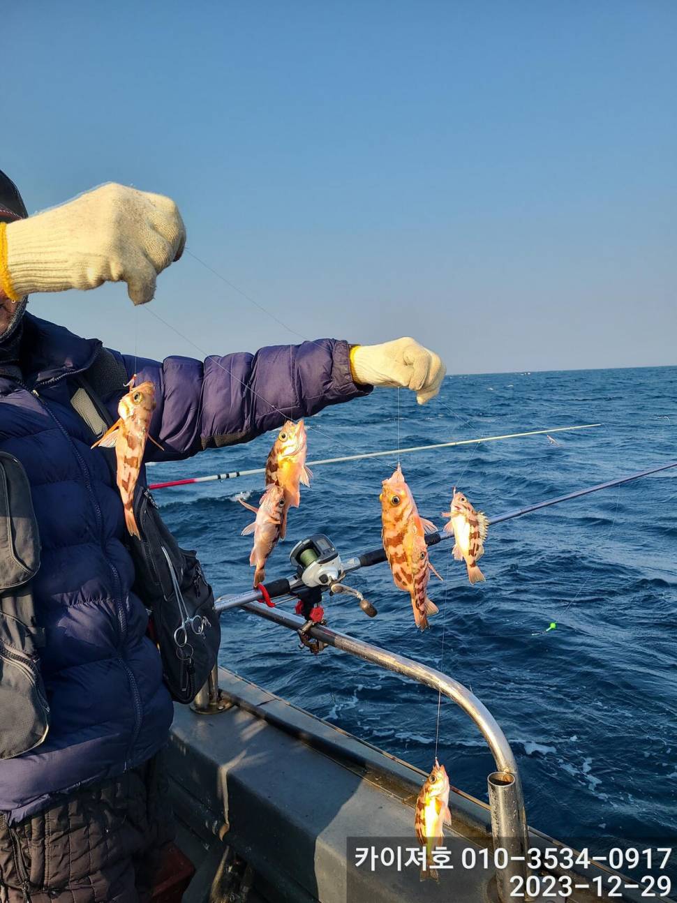 29일 오늘도 타작 엄버지기 볼락열기 (조황조행기 - 바다선상조황)