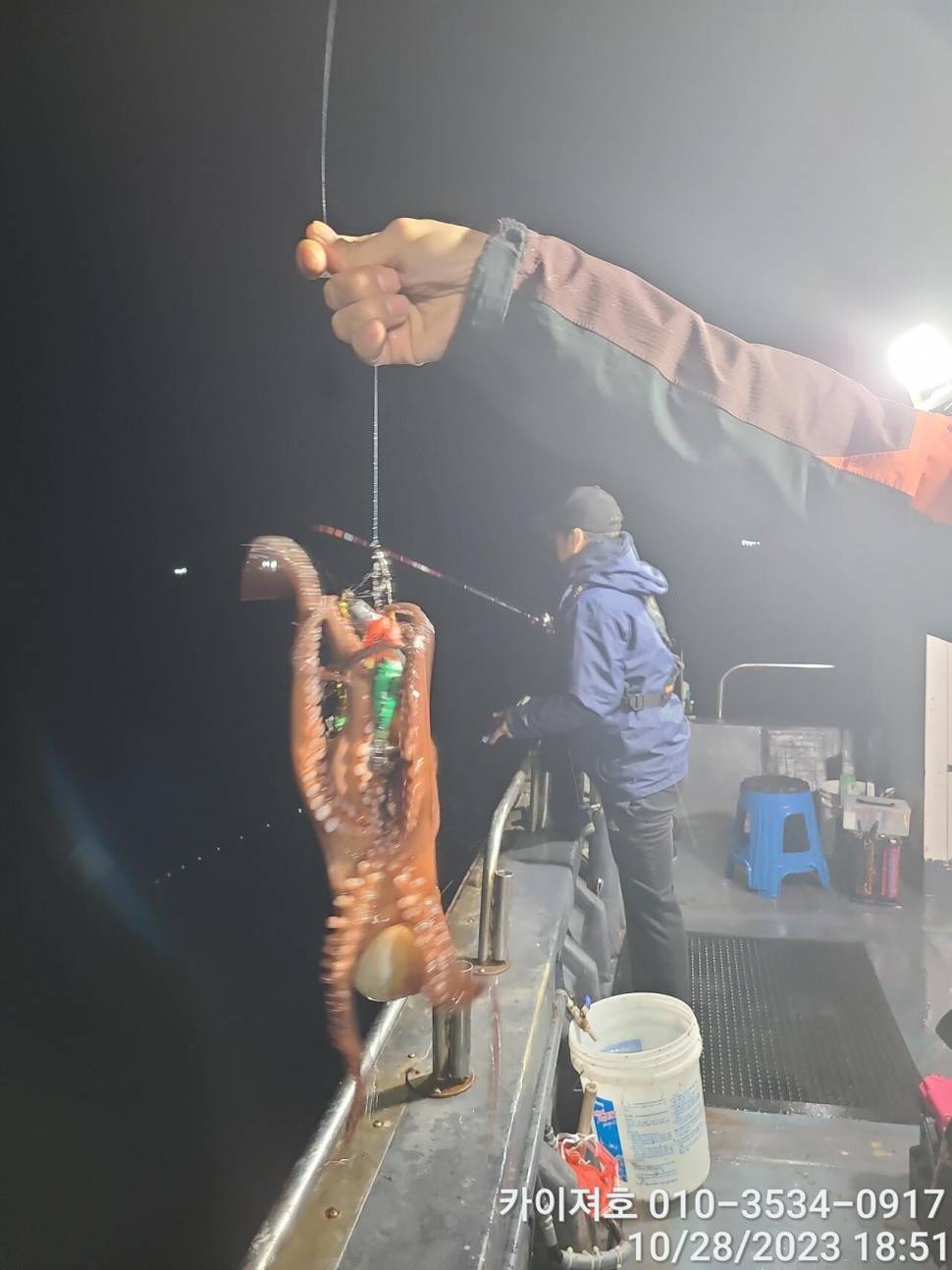 28일포항 야간 돌문어 악조건 속에서도 마릿수 굿 (조황조행기 - 바다선상조황)