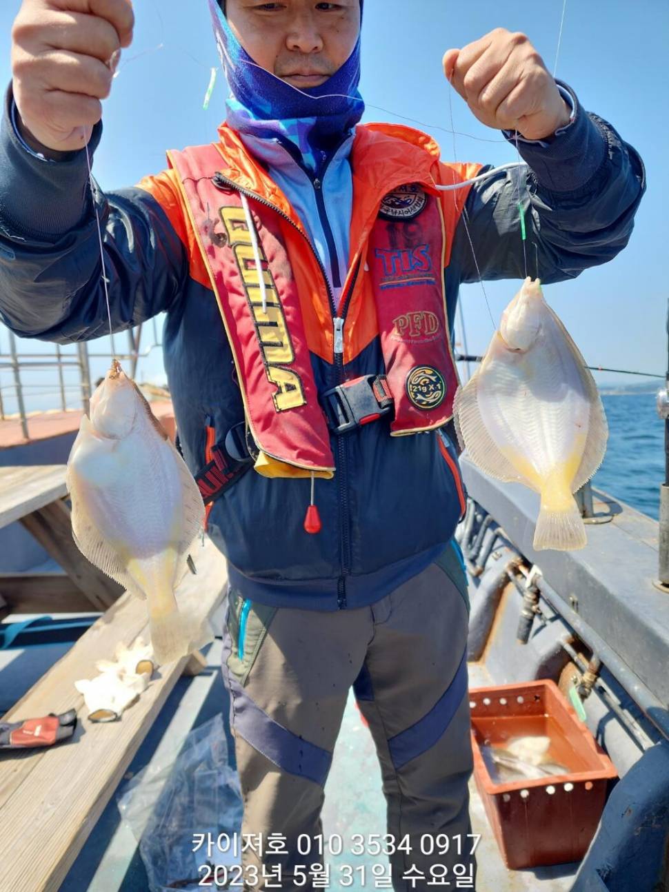 31일 오전 역대급 으로 퍼왔어요 씨알도 굿굿굿 (조황조행기 - 바다선상조황)