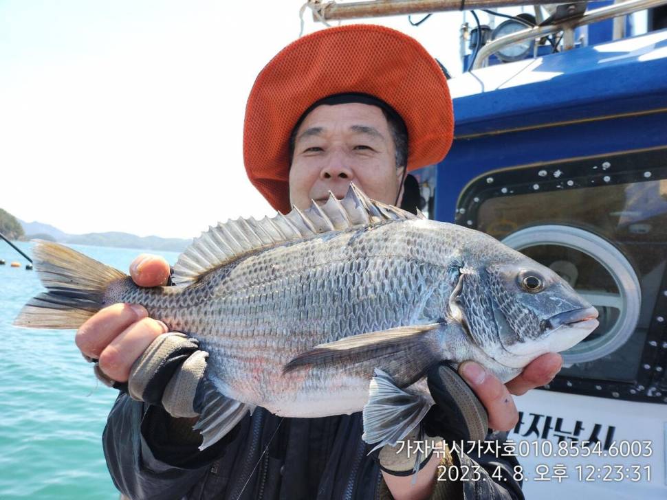 내만 감성돔 선상갯바위 바람 불어도 올라옵니다 9일 예약 (조황조행기 - 바다선상조황)
