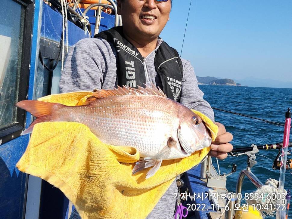 감성돔참돔 짜릿한 손맛 조황입니다 (조황조행기 - 바다선상조황)