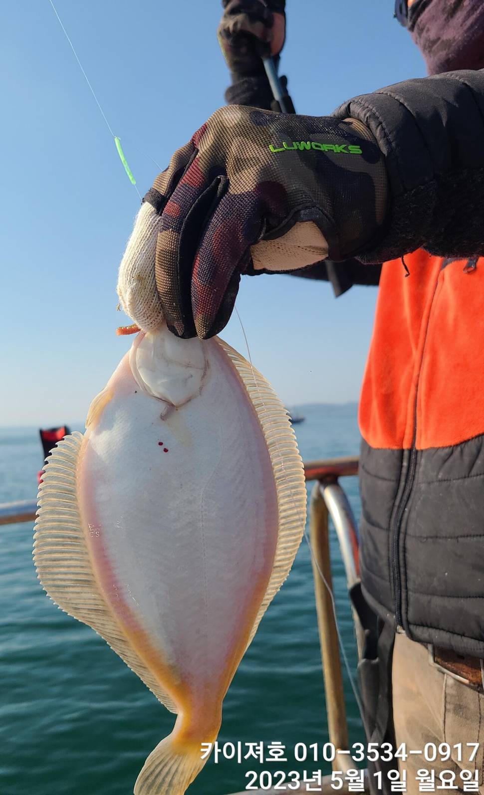 1일역시나 마릿수 수두루 빽빽화 오전 여유자리 (조황조행기 - 바다선상조황)