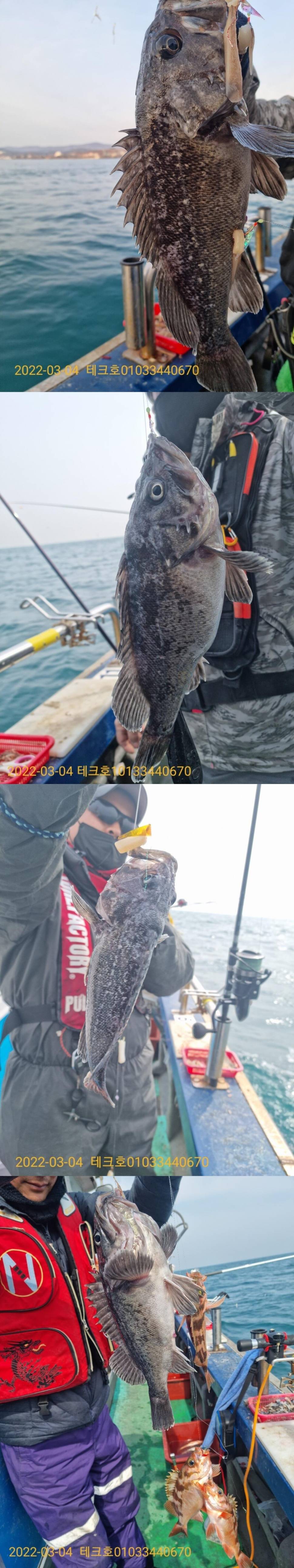 대물우럭들과 큰열기 (조황조행기 - 바다선상조황)