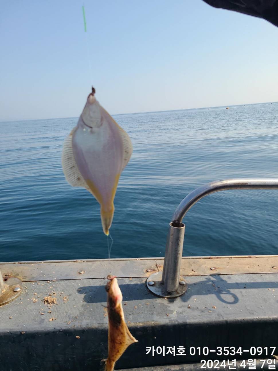 7일 오전 오후마릿수 씨알 대 폭팔 (조황조행기 - 바다선상조황)