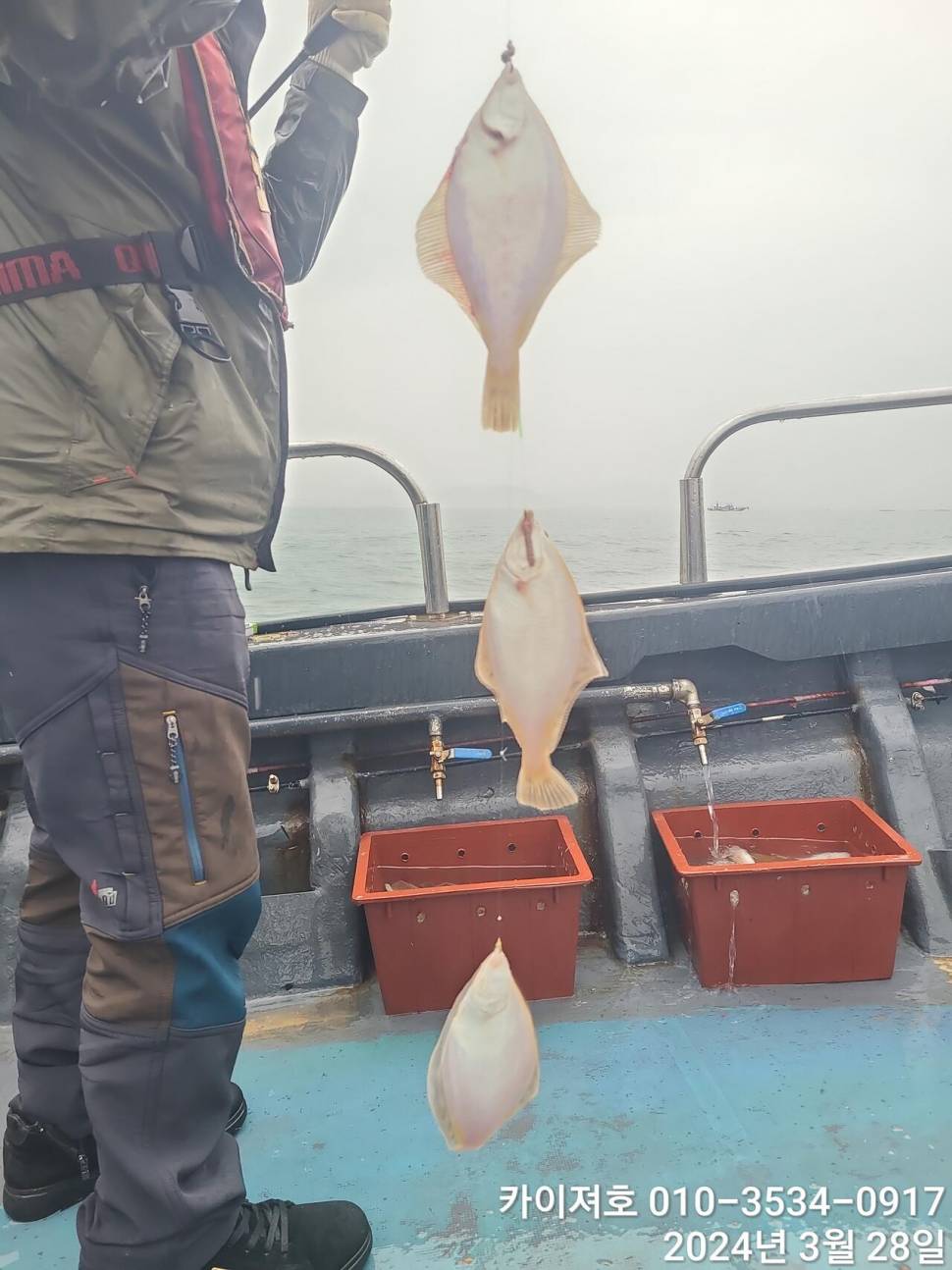28일 오전 비가 와도 타작 오늘도 초대박 (조황조행기 - 바다선상조황)