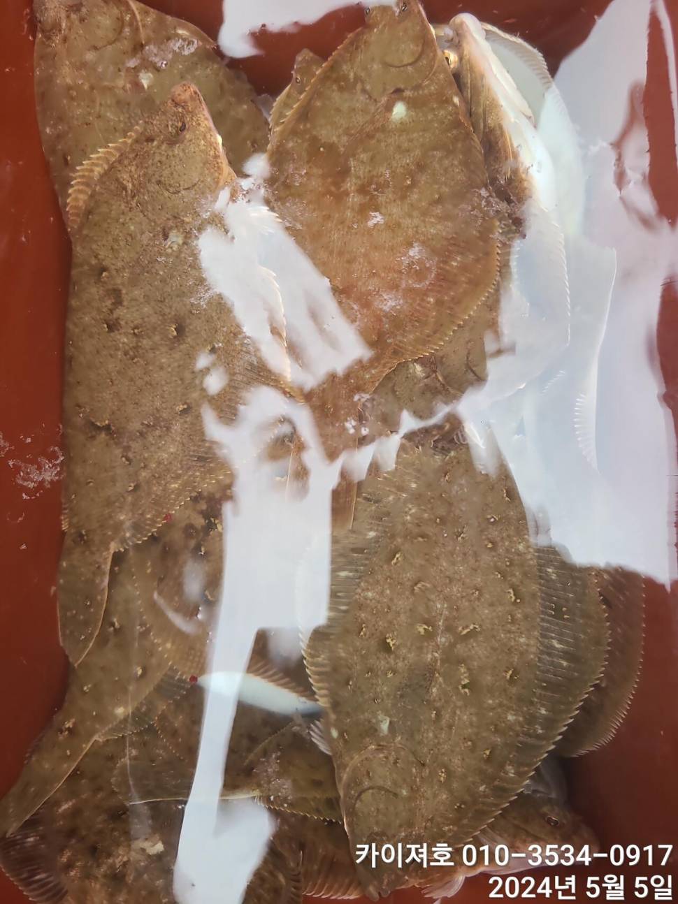 나날이 타작 합니다 날씨만 좋으면요 (조황조행기 - 바다선상조황)