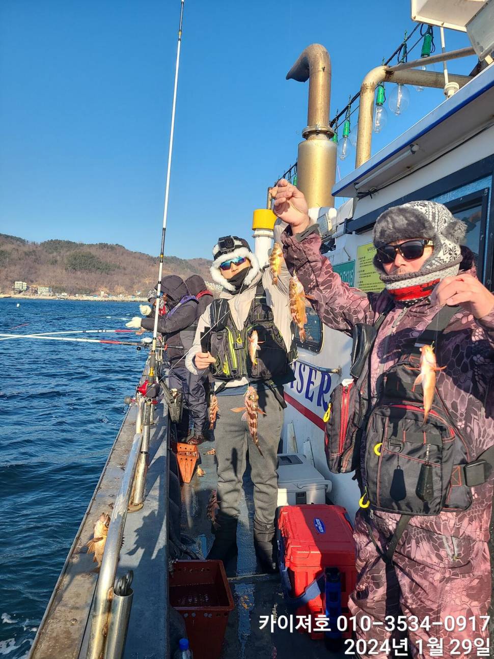29일오전 볼락 열기 쿨러가 두둑 합니다 (조황조행기 - 바다선상조황)