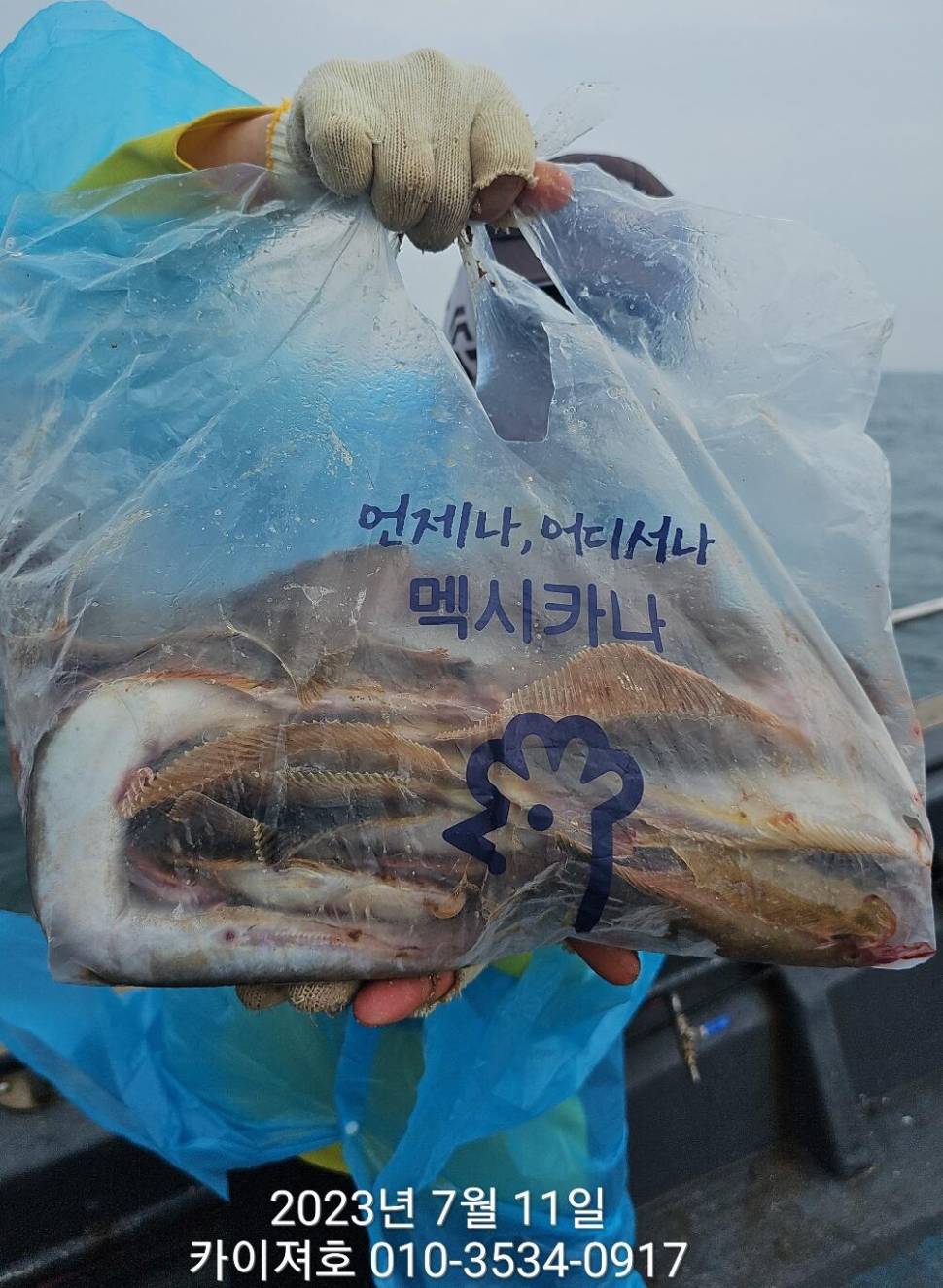 11일오전 타작 보너스도 있네요ㅎ (조황조행기 - 바다선상조황)