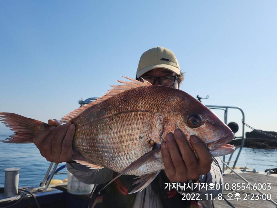 감성돔참돔 선상 갯바위 조황 묵직합니다 (조황조행기 - 바다선상조황)