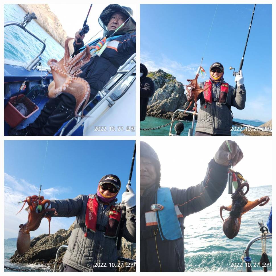 돌문어 싸이즈 마릿수 대박 주말 출조 예약중 (조황조행기 - 바다선상조황)
