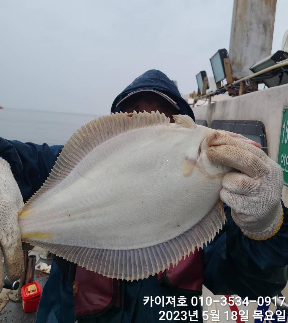 몸만 오셔서 양손이 묵직히 챙겨가세요 토오후여유자리운동장 (조황조행기 - 바다선상조황)