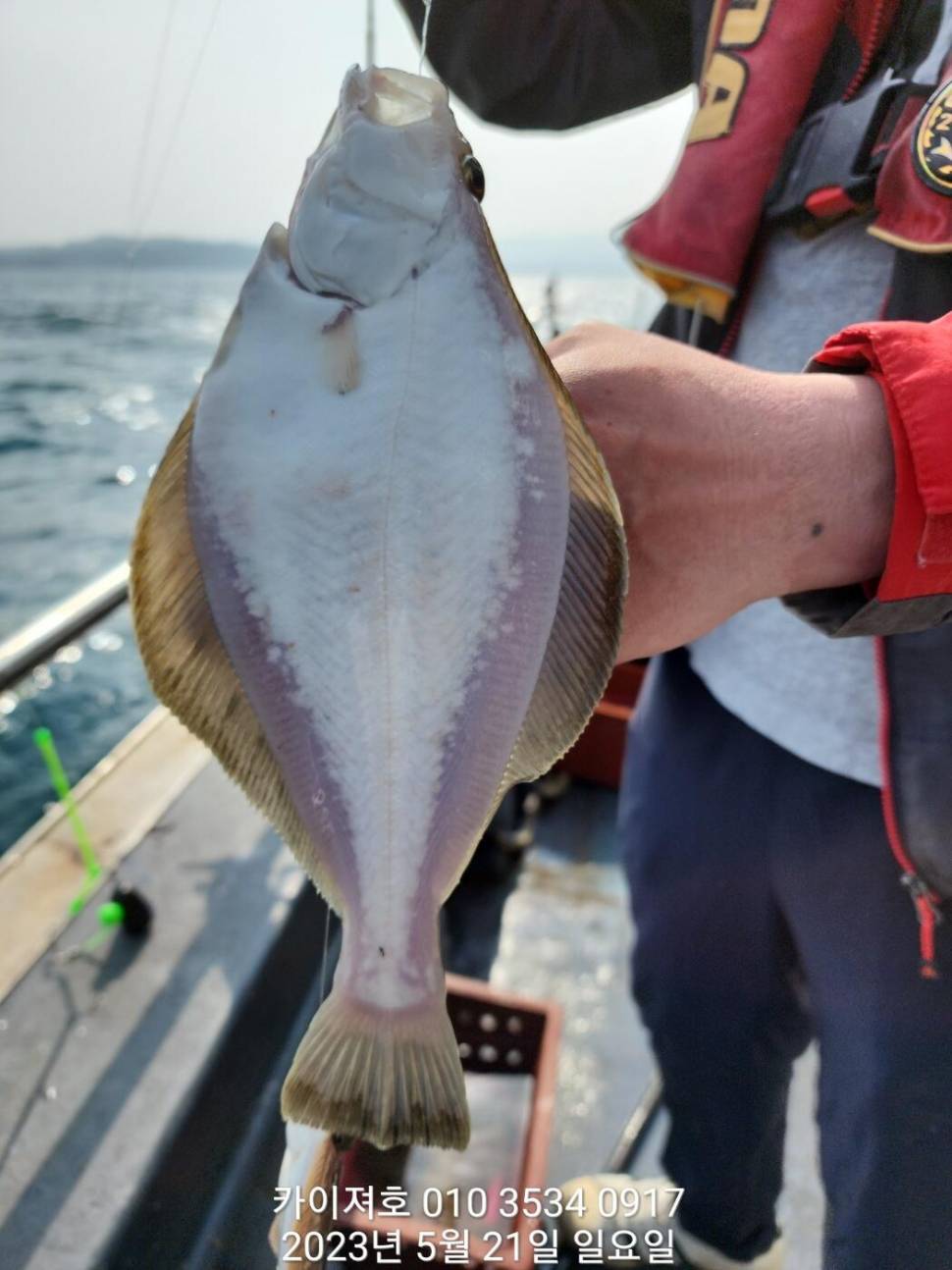 일 오후 마구 퍼 담았어요 화요일 오전 여유자리운동장 (조황조행기 - 바다선상조황)