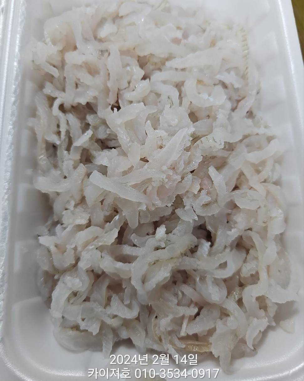 14일왕도다리참가자미 대박볼락열기 목요일 오전 (조황조행기 - 바다선상조황)