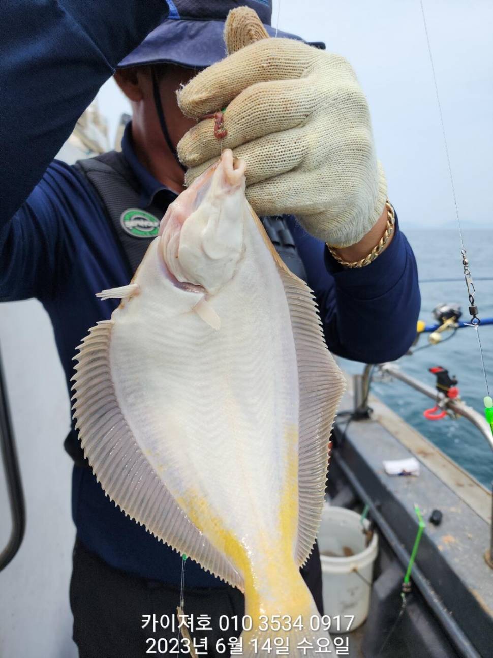 주말 도다리참가자미 폭파 하러 오이소ㅎ (조황조행기 - 바다선상조황)