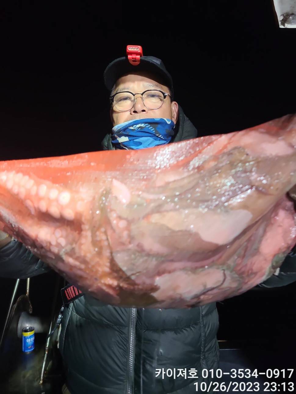 26일포항 돌문어 마릿수도 씨알도 굿 (조황조행기 - 바다선상조황)