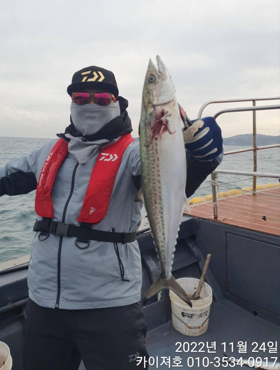 24일 오전 가을 오동통 방어 손맛 찐 합니다 (조황조행기 - 바다선상조황)