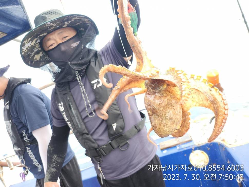 가자호 푹푹찌는 날 돌문어 조황 (조황조행기 - 바다선상조황)