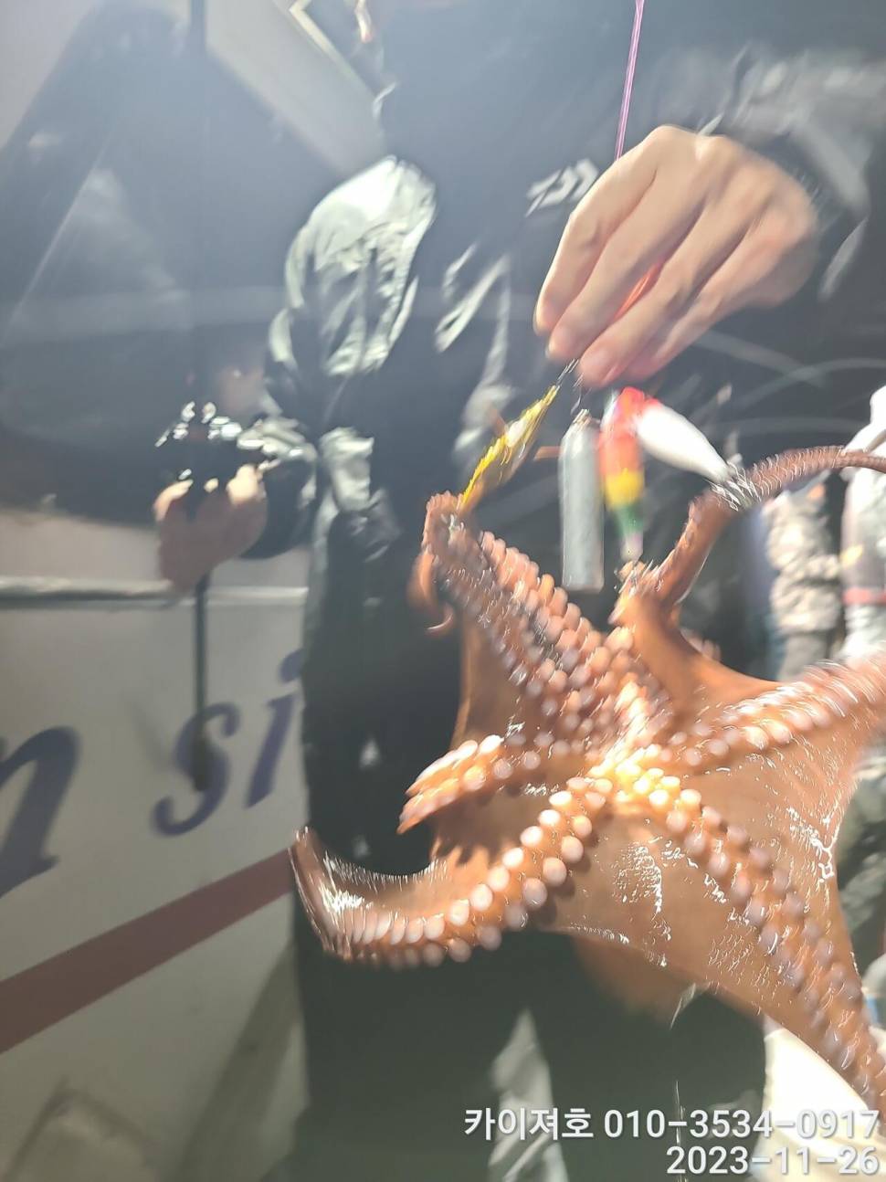 26일 카이져호 돌문어 호조황 오늘도 굿 (조황조행기 - 바다선상조황)